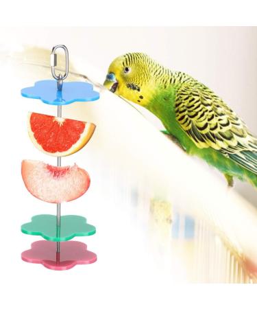 Fruit Holder for Parrots - Spit Fruit & Vegetable Skewers for Birds | Ideal for Budgies Nymphs & More - Buy Online on SooperMarket.com