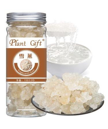 Plant Gift Wild Edible Gum Tragacanth Gum Snow Swallow xueyan No Colors Non-GMO 150g / 5.29oz