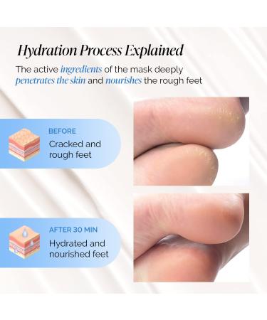 PLANTIFIQUE Foot Moisturiser Socks Hydrating Foot Mask 4Pack (with Box) Hydrating Socks for Soft Heels Intense Moisturizing and Repairing Dry Rough Skin Foot Care Korean Skincare Mask Foot Spa 4 Pack - Buy Online on SooperMarket.com
