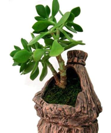 Topcomww Artificial Green Moss for Plant Crafts & Flower Centerpieces - 3.5oz - Buy Online on SooperMarket.com