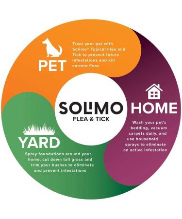 Solimo Flea Topical Treatment for Small Cats - 4 Count (5-9 lbs) | Fast-Acting Formula by Amazon Brand - Buy Online on SooperMarket.com