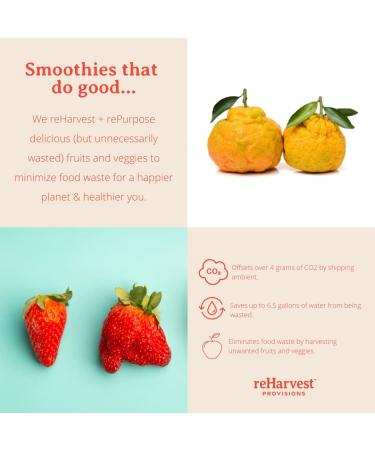 Re-Harvest Provisions Smoothie Pops 5 Pack - Frozen Fruit + Vegetables + Superfoods | Dairy-Free, Vegan, Gluten-Free | Anti-Inflammatory | Eco-Friendly | 1.6oz ea - Buy Online on SooperMarket.com