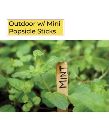 Apremont 300 Pcs Mini Natural Wooden Craft Sticks - 3.5 inch Ice Cream & Popsicle Sticks - Food Grade & Ideal for Crafting, Stirring, and DIY Kids Projects - Buy Online on SooperMarket.com
