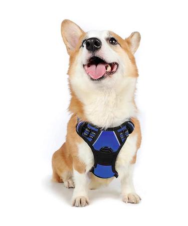Rabbitgoo dog harness medium -sized dogs anti train dishes dog with control no pull adjustable dog harness large dogs breathable reflex stripes breast harness dog safe guided tour blue m (1 Pack) blue