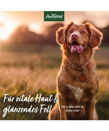 Aniforte Fellharmonie Dog Shampoo 200ml - Coconut Oil & Aloe Vera for Healthy Skin Glossy Fur and Easy Combability - Natural Care for Dogs - Buy Online on SooperMarket.com