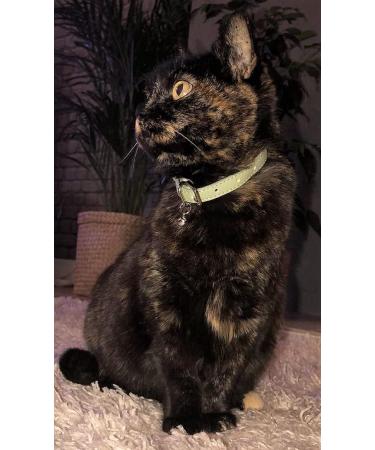 Animal Outfitters UK Purrfect Pastel Collection Cat Collar | Mint Silver Bell | Adjustable Breakaway Kitten Collar - Buy Online on SooperMarket.com