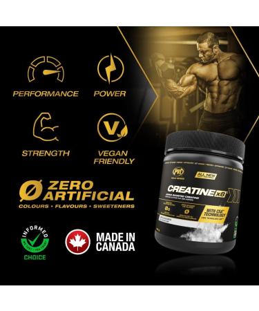 PVL Creatine X8 - Advanced Creatine Monohydrate Powder - Amino Acid Boosted Creatine Powder - Workout Supplement - Zero Sugars or Fillers -249 g - 30 Serving - Buy Online on SooperMarket.com