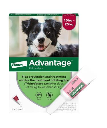 Advantage 250 Flea Spot On Treatment For Dogs 1 Pipette 2.5ml 10-25kg