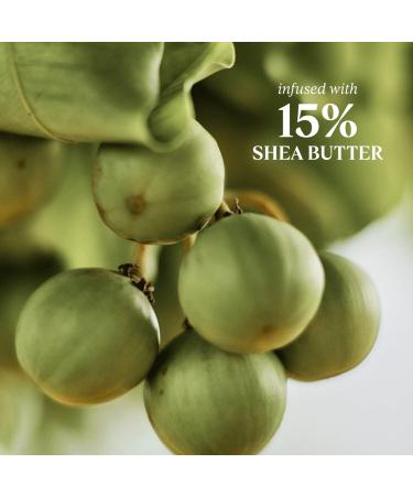 L'Occitane 15% Shea Butter Body Lotion | Nourishing & Protective Moisturizer | 8.4 Fl Oz - Buy Online on SooperMarket.com