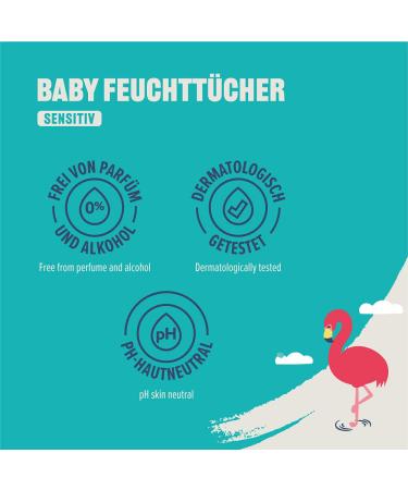 Buy Amazon Baby Wipes Sensitive Unscented - 480 Count (6 Packs of 80) | Bulk Baby Care Supplies International Shipping - Buy Online on SooperMarket.com
