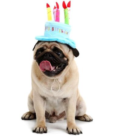 Cute Birthday Cake Hat for Pets with 5 Color Candles - Blue - Buy Online on SooperMarket.com