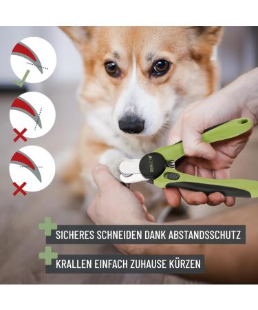 Reavet Claw Scissors for Dogs & Cats - Stainless Steel Nail Clippers with Claw File & Distance Holder for Pet Nail Care - Buy Online on SooperMarket.com
