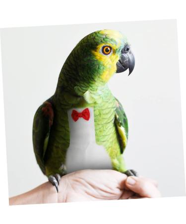 Buy PopetPop Flying Bird Diapers - Stylish Sittich-Outfit Bowknots for Parrots & Pigeons | High-Quality Cotton Bird Clothing 22x12cm - Buy Online on SooperMarket.com
