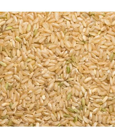 Wholefood Earth Organic Long Grain Brown Rice 3kg - GMO Free, Vegan, Source of Fibre - Certified Organic - Buy Online on SooperMarket.com