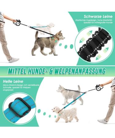 Buy NASJAC Double Dog Leash - No Tangle 360 Rotatable Adjustable Bungee Reflective Leash for Small Medium & Large Dogs - 2-Color Black & Aquamarine - Buy Online on SooperMarket.com