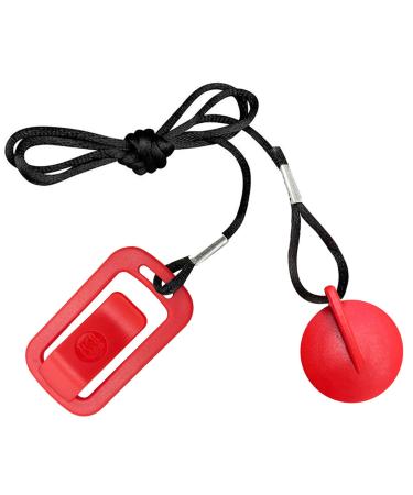 Treadmill Universal Magnet Safety Key for All NordicTrack, Proform, Image, Weslo, Reebok, Epic, Golds Gym, Freemotion, and Healthrider Treadmills Modern
