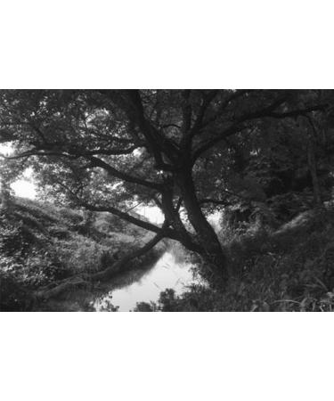 Hoya 82mm R72 Infrared Glass Filter for Superior Photography Results - Buy Online on SooperMarket.com