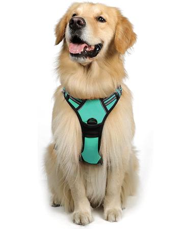 Rabbitgoo dog harness medium -sized dogs anti train crockery dog with control no pull adjustable dog dishes large dogs breathable reflex stripes breast harness dog safe guidance green xl XL (1 Pack) mint green