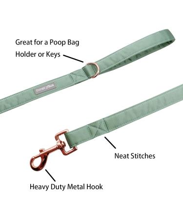 Shop Lionet Paws Silk Dog Leash - Perfect for Small & Medium Dogs - XS Size - Ideal for Boys & Girls - Buy Online on SooperMarket.com