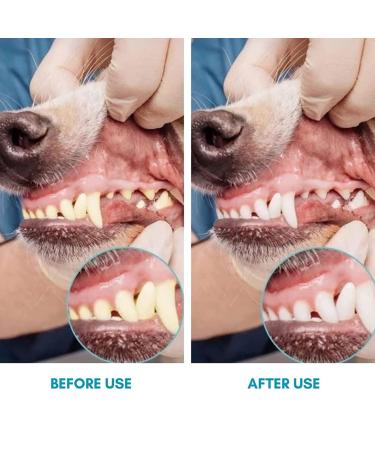 Pack of 4 Finger Toothbrushes for Dogs - Dental Care for Small Medium & Large Breeds - Buy Online on SooperMarket.com