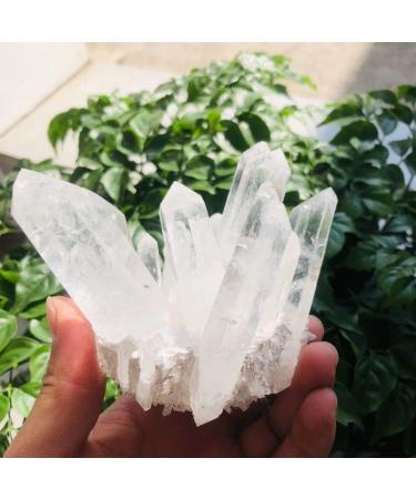 350g-900g Natural Clear Quartz Stone White Crystal Cluster 1pc HOMEZHOU (Color : 1pc 510g-560g) - Buy Online on SooperMarket.com