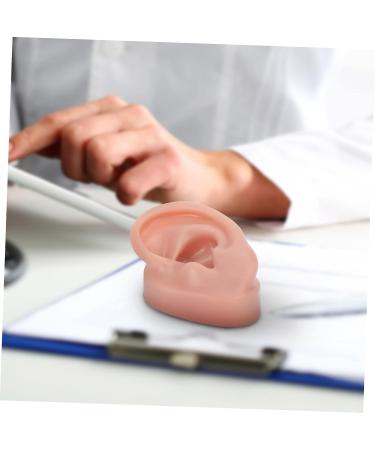 Beavorty 3 Pcs Human Ear Model Set | Silicone Ear Models for Studs | Simulation Piercing Ear Display Prop 6.5x3.5cm (Coffee, 3pcs) - Buy Online on SooperMarket.com