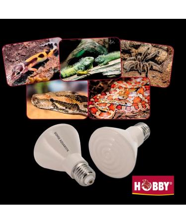 Hobby 37090 Elstein Heat Lamp IOT - 90W & 150W | International Shipping Available - Buy Online on SooperMarket.com