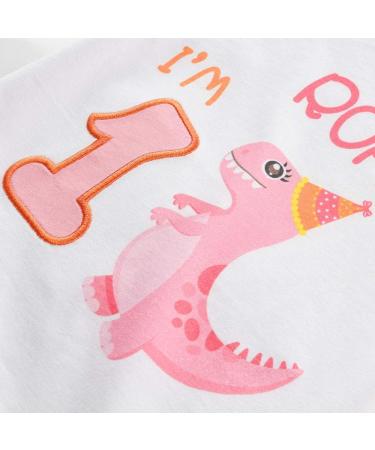 1st Birthday Girl Dinosaur Party T-Shirt | Baby B-Day Themed Tee | Gift for 1 Year Old - White - Buy Online on SooperMarket.com