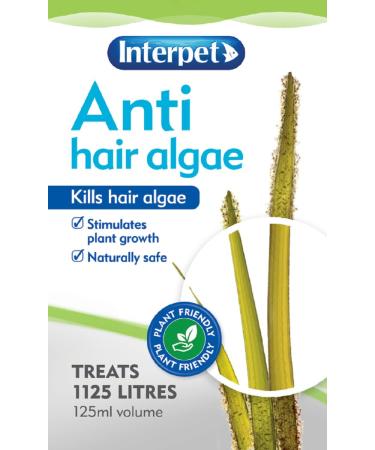 Interpet Anti Hair Algae Aquarium Water Treatment 125ml - Buy Online on SooperMarket.com