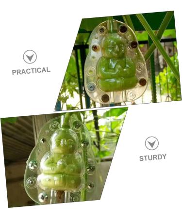 Kisangel 5pcs Vegetable Mold Ginseng Melon Shaping Multi-Function Fruit Mold Gourd Shaper - Buy Online on SooperMarket.com