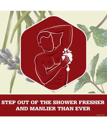 Old Spice Timber Body Wash for Men - Sandalwood Scent 25 Fl Oz (4 Pack) - Buy Online on SooperMarket.com