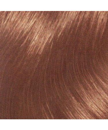 Buy Healthy Look Light Brown Chocolate Praline - International Shipping Available - Buy Online on SooperMarket.com
