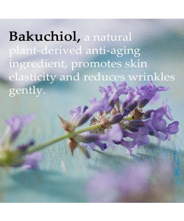 Retinal Bakuchiol Night Cream | Anti-Aging Moisturizer for Face | Reduce Wrinkles & Fine Lines | 30% Centella Asiatica | 50g - Buy Online on SooperMarket.com