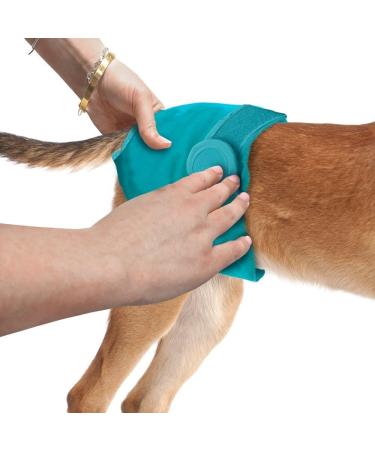 Simple Solution Washable Dog Diapers - Eco-Friendly & Leak-Proof | International Shipping Available - Buy Online on SooperMarket.com
