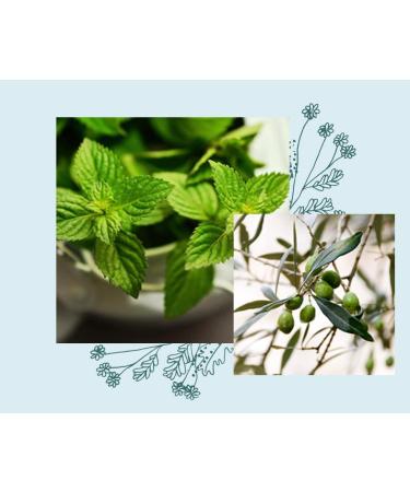 Officina Naturae Solara Dishes Detergent Solid Peppermint Organic Sustainable Vegan Plastic Free 180g - Buy Online on SooperMarket.com