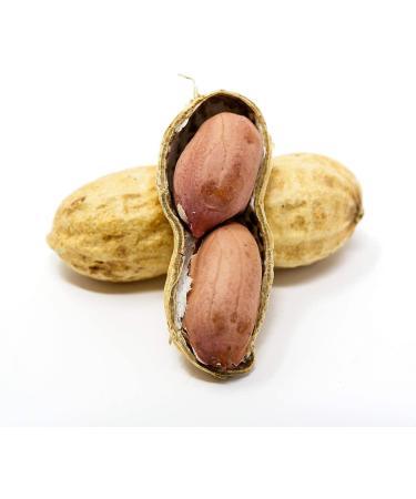 Premium USA Grown Raw Peanuts in Shell for Squirrels - Unsalted & Boiled Jumbo Peanuts for Birds - Green - Buy Online on SooperMarket.com