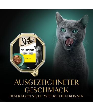 Sheba Delicacy in Jelly - High-Quality Chicken Cat Wet Food - 22 x 85g - Imported Premium Sliced Meat - Buy Online on SooperMarket.com