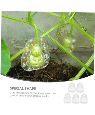 Kisangel 5pcs Vegetable Mold Ginseng Melon Shaping Multi-Function Fruit Mold Gourd Shaper - Buy Online on SooperMarket.com