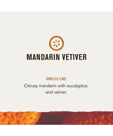 Every Man Jack Mandarin Vetiver Body Wash - 16.9 fl oz | Natural Ingredients Refreshing Clean | International Shipping Available - Buy Online on SooperMarket.com