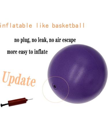 Purple 8-Inch Exercise Ball with Pump - Mini Yoga & Pilates Ball for Core Stability & Physical Therapy - Buy Online on SooperMarket.com