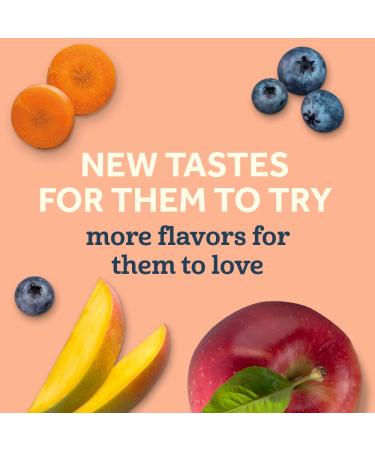 Gerber Organic Baby Food Pouches - WonderFoods Banana Red Berries Granola 3.5oz (Pack of 12) - Buy Online on SooperMarket.com