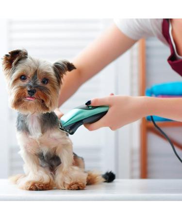 BestBomg Scherklingen for Pets - Rem removable Stainless Steel Ceramic Blades for Easter Animal Clipper & Andis Dog Clippers (6.3mm 5FC) - International Shipping - Buy Online on SooperMarket.com