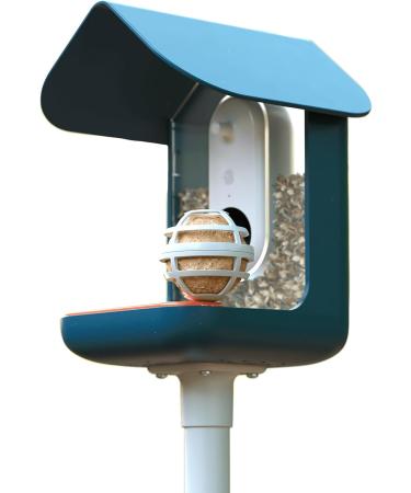 BIRD BUDDY Original Fat Ball Holder for Bird Feeders | Best for Attracting Wild Birds | International Shipping Available - Buy Online on SooperMarket.com