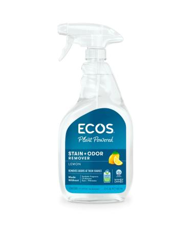 Earth Friendly Stain and Odor Remover Spray - 22 fl oz