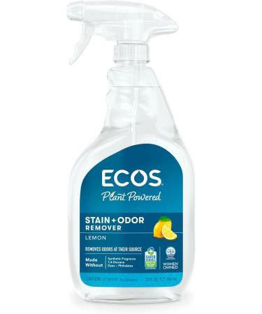 Stain and Odor Remover Spray - 22 Fl Oz.