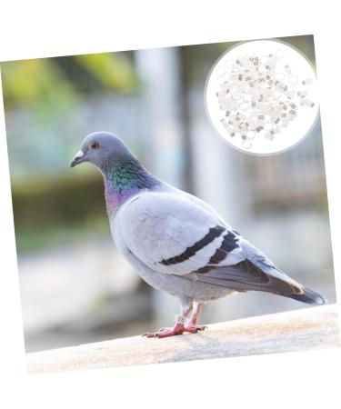 Angoily 300 Pcs Pigeon Anklet Duck Where Clip Chicken Ankle Ring Pigeons Ring Bands Parrot Label Tape Baby 1.3X1.3CMx3pcs Whitex3pcs - Buy Online on SooperMarket.com