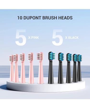 PHYLIAN Sonic Electric Toothbrush 2 Pack for Adults and Kids - High Power Rechargeable Toothbrushes in Black and Pink - 3 Hour Fast Charge for 60 Days - Buy Online on SooperMarket.com
