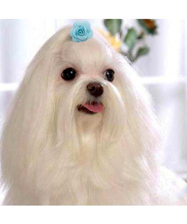 JpGdn 24 Pcs Dog Hair Bows Flowers with Rubber Bands Handmade Topknot Hair for Small Medium Puppy Doggies Kitten Cats Grooming Accessories - Buy Online on SooperMarket.com