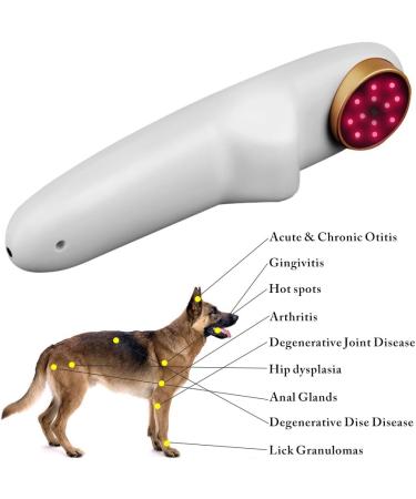 Cold Laser Therapy Device for Pain Relief Suitable for Human and Animal - Buy Online on SooperMarket.com