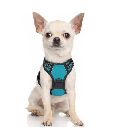 Rabbitgoo dog harness Small dog anti -train cuddling dog with control no pull adjustable dog dishes large dogs breathable reflex stripes breast harness dog safe guidance blue green xs XS (1 Pack) blue -green